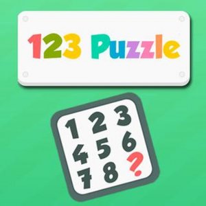 Number Puzzle Challenge