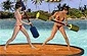 Beach Catfight Online Game