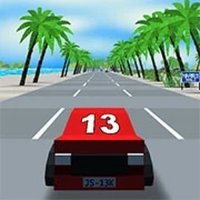 Wild Drive Adventure Racing