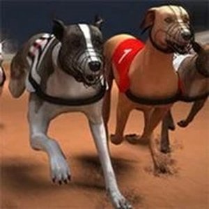 Greyhound Racing Online Game