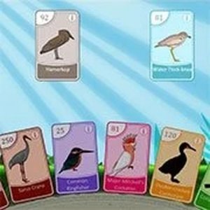 Bird Pax Online Game